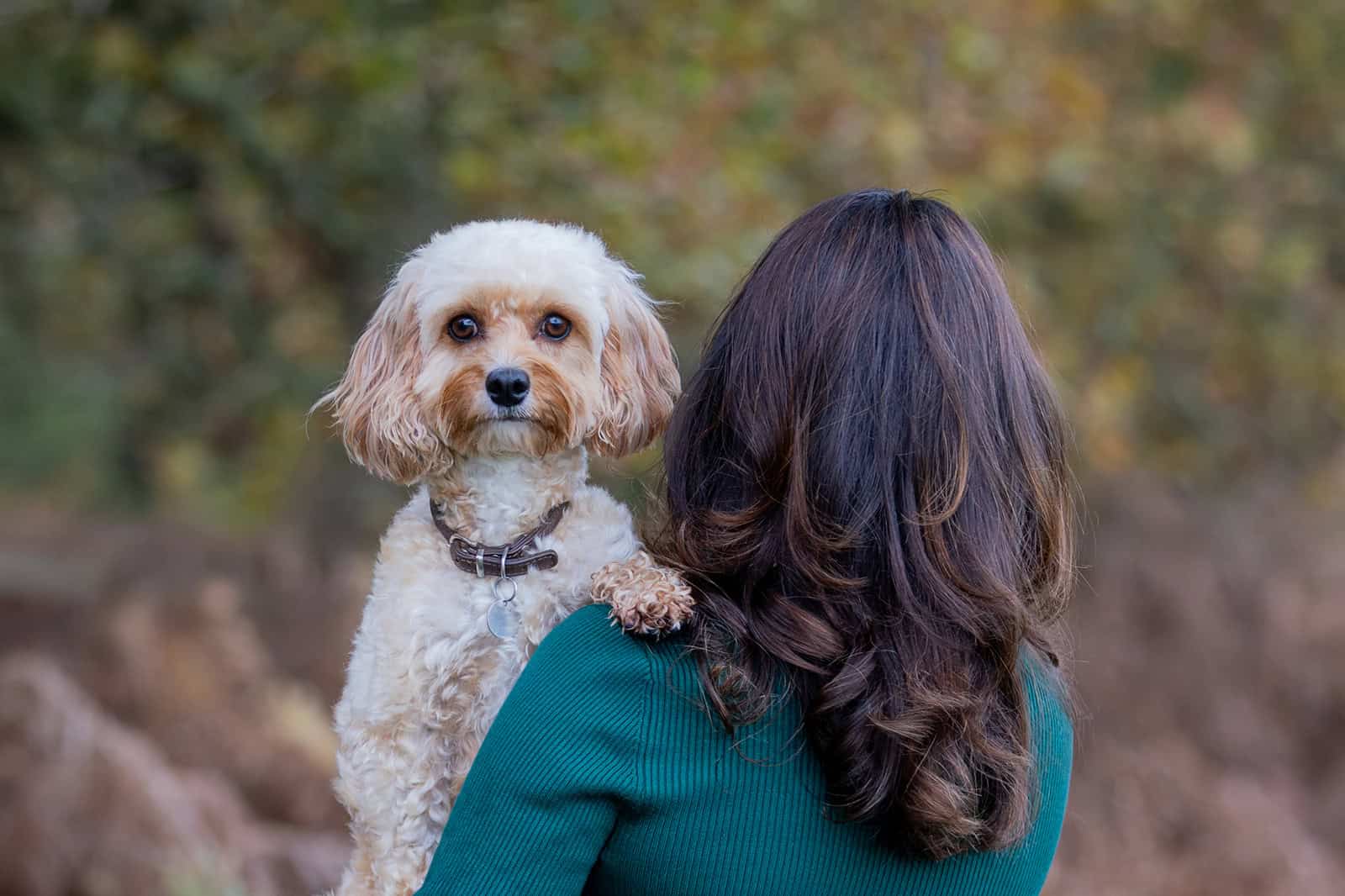 A dog smiles at the camera, while being held over their owners shoulder