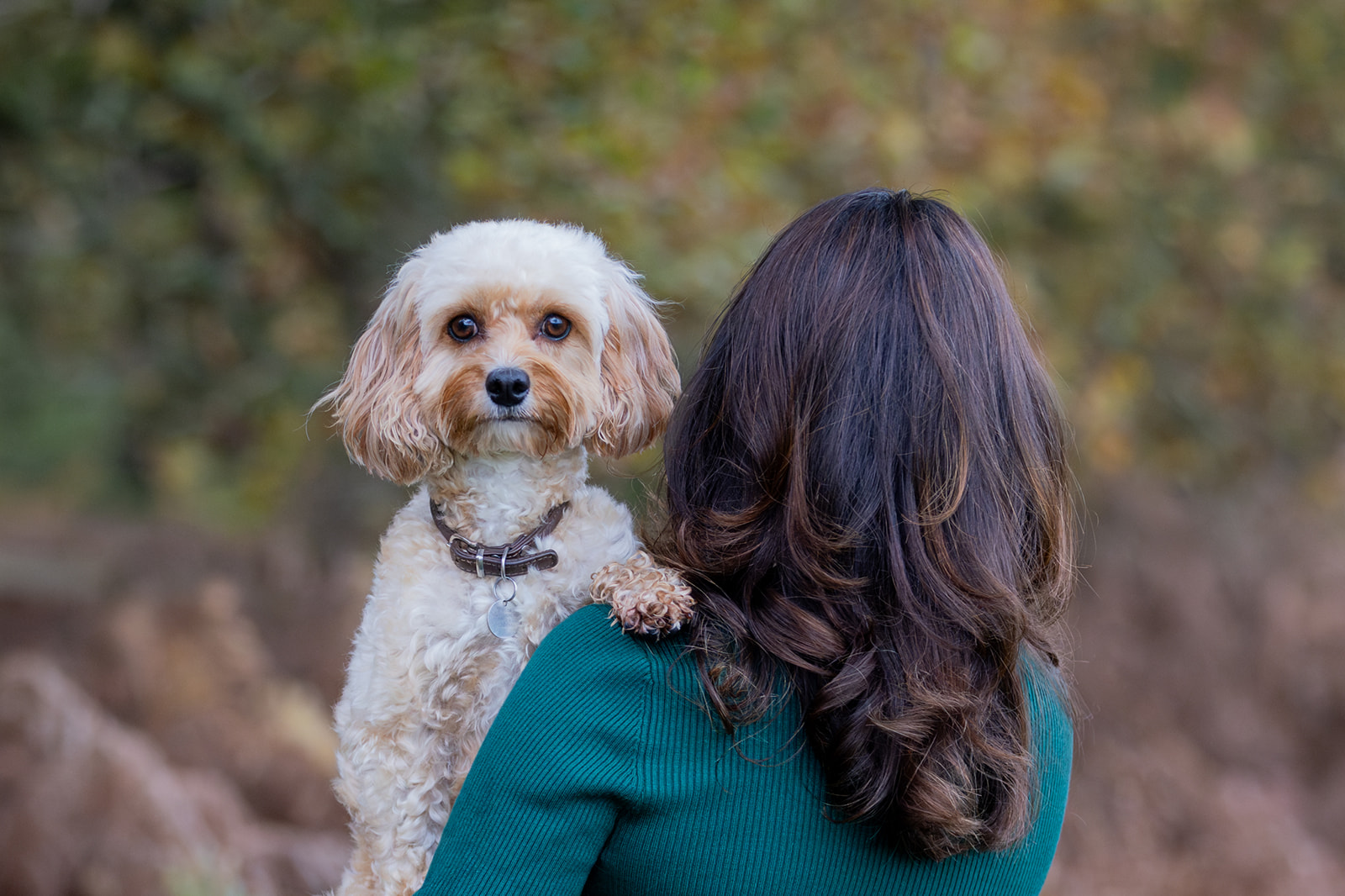 A loving owner holds her dog over her shoulder so it can smile at the camera