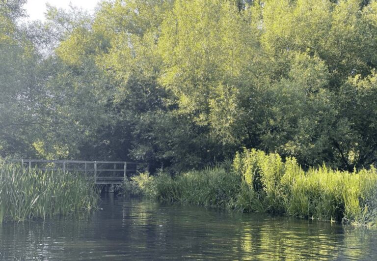 A view of a paddling area on the River Chess, taken on a warm summers evening