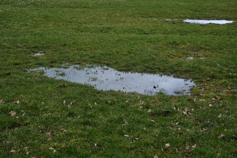 Tranquil view of a lush grassland with fresh rain puddles in Greystoke, England.